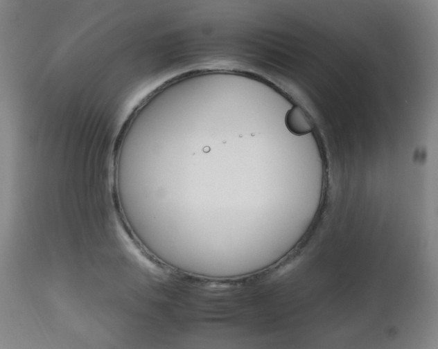 X0000112510839200908171046
