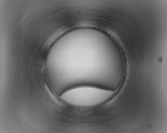 X0000112510841200908171046
