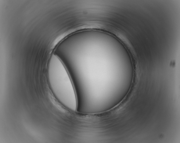 X0000112510842200908171046