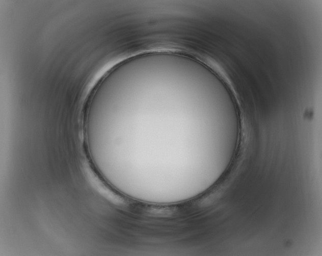 X0000112510843200908171046