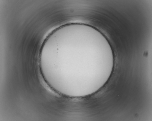 X0000112510848200908171046