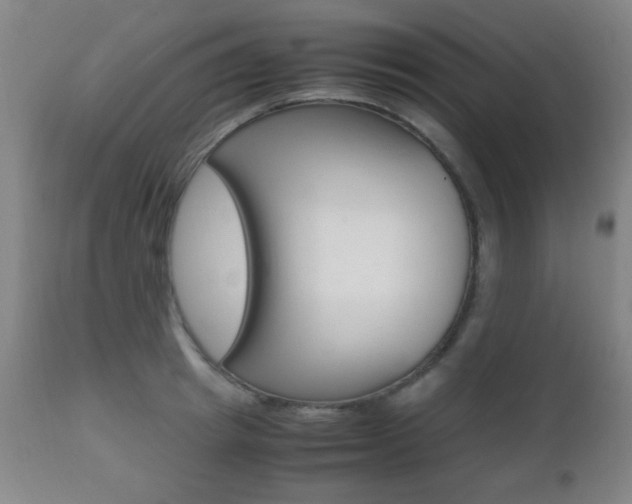 X0000112510849200908171046