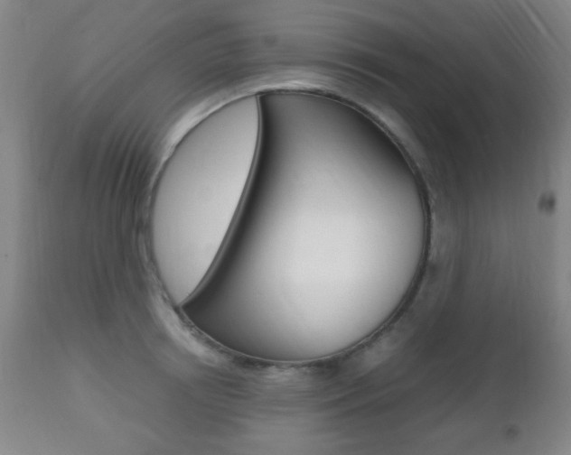 X0000112510850200908171046