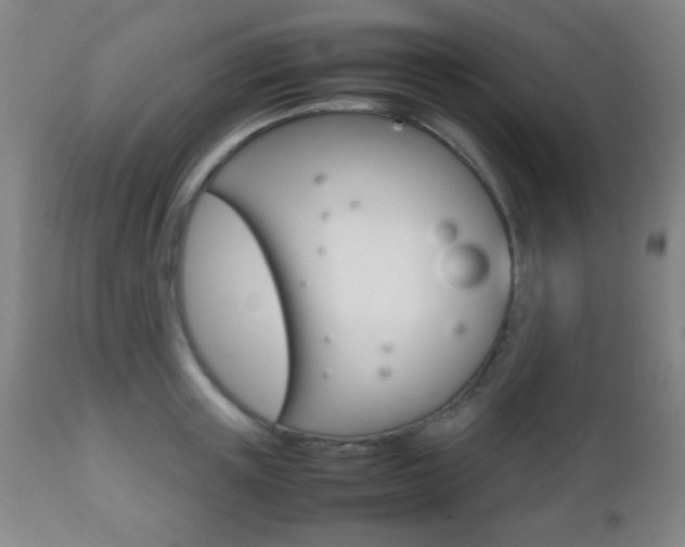 X0000112510851200908171046
