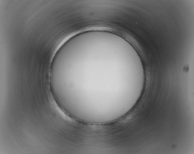 X0000112510852200908171046