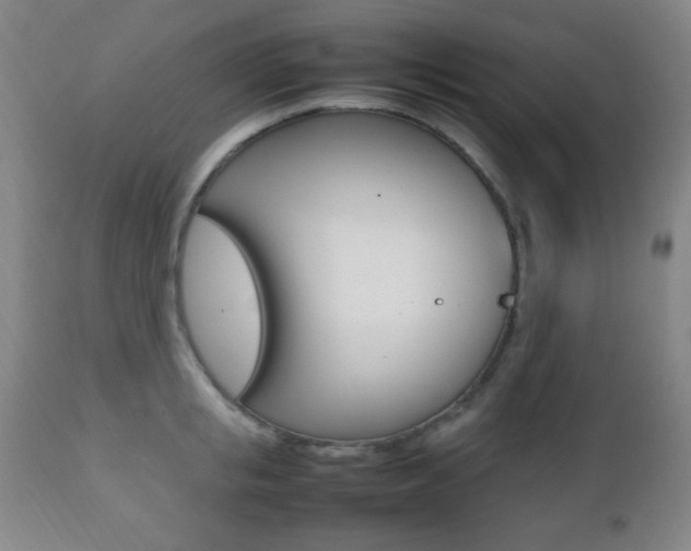 X0000112510853200908171046