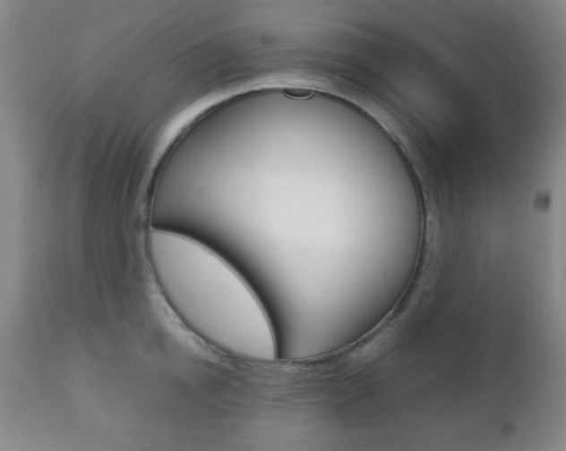 X0000112510854200908171046