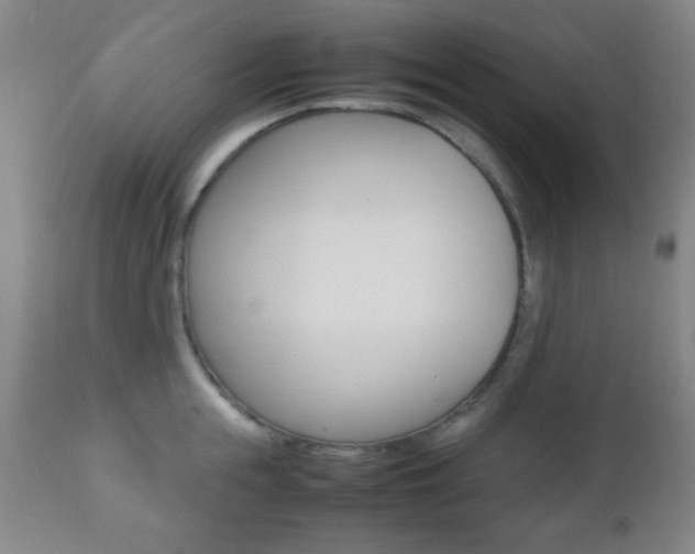 X0000112510855200908171046