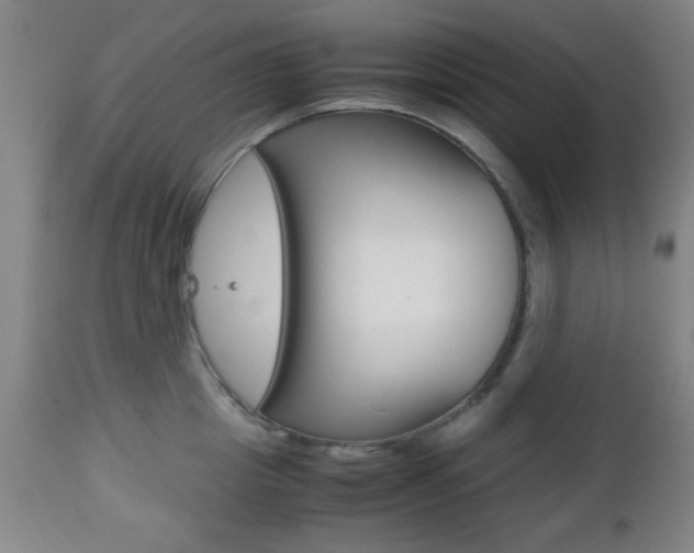 X0000112510857200908171046