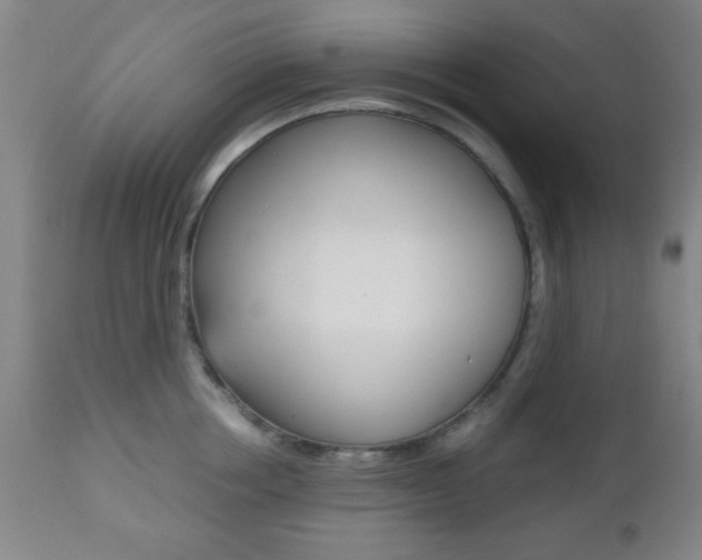 X0000112510858200908171046