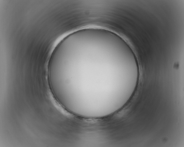 X0000112510862200908171046