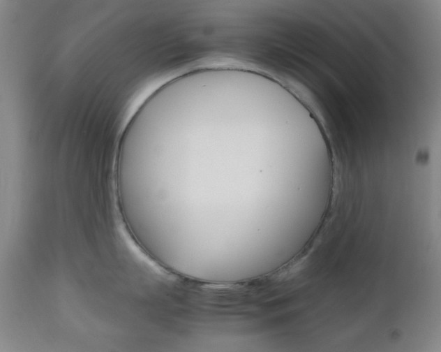 X0000112510863200908171046