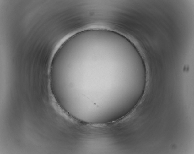 X0000112510864200908171046