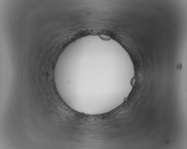 X0000112510865200908171046