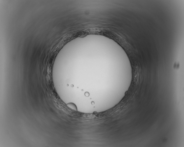 X0000112510866200908171046