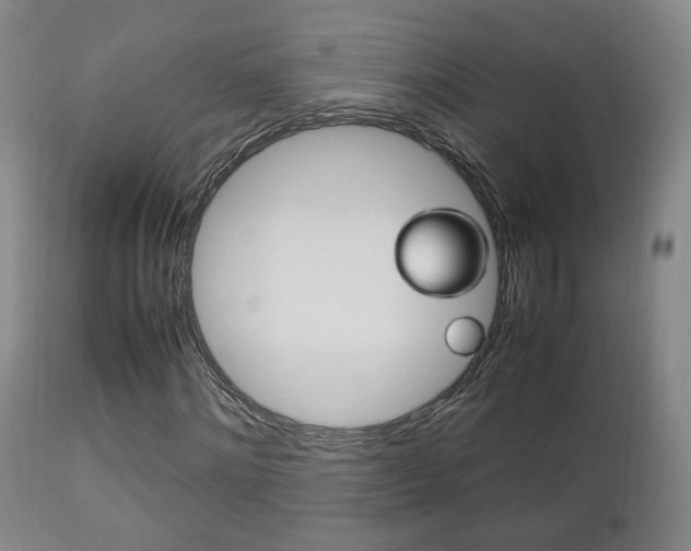 X0000112510868200908171046
