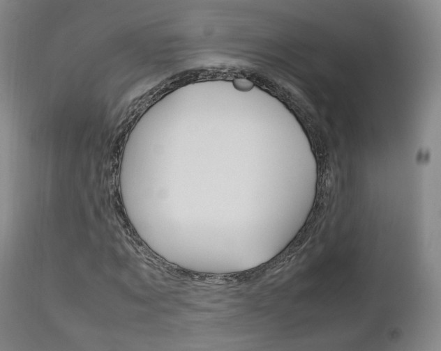 X0000112510869200908171046