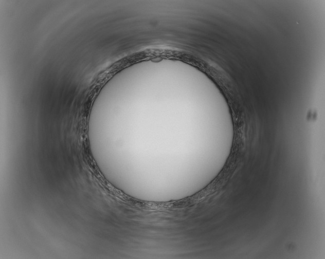 X0000112510870200908171046