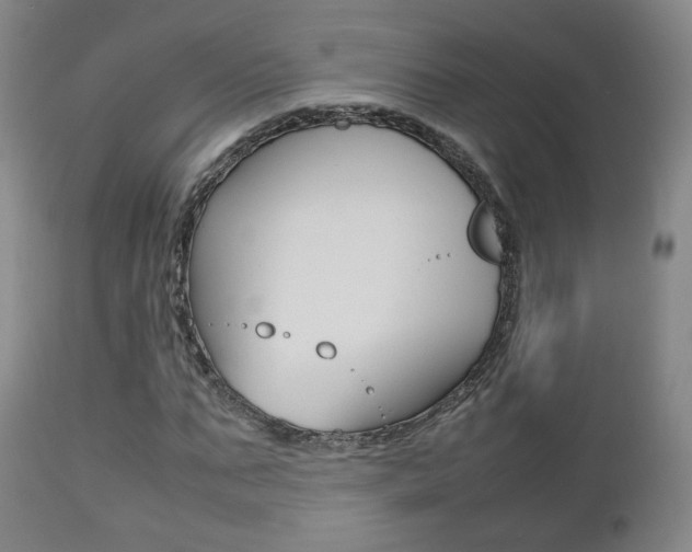X0000112510871200908171046