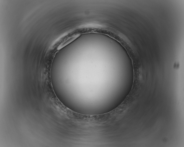 X0000112510872200908171046