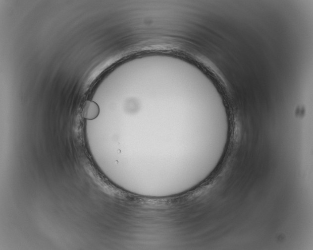 X0000112510874200908171045