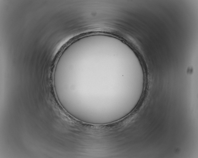 X0000112510875200908171045