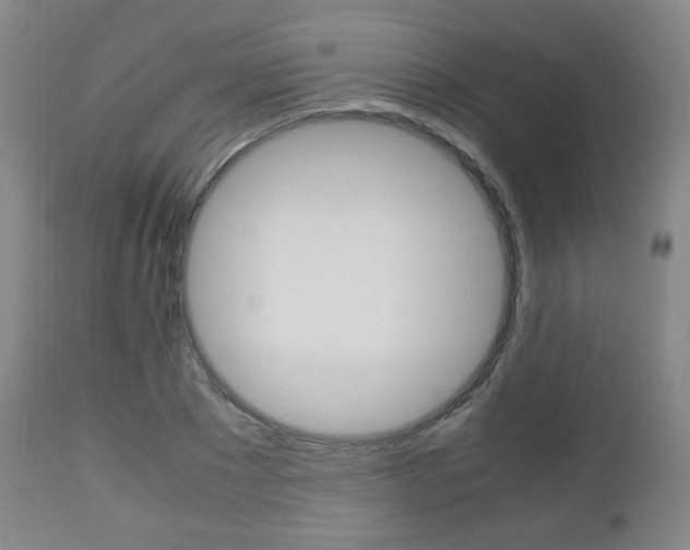 X0000112510881200908171045