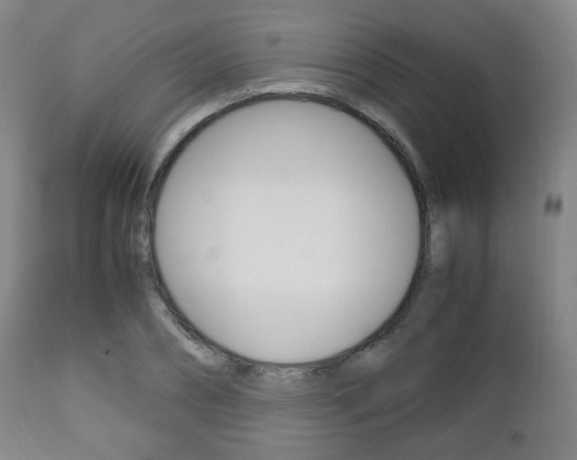 X0000112510882200908171045