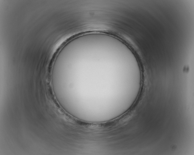 X0000112510883200908171045