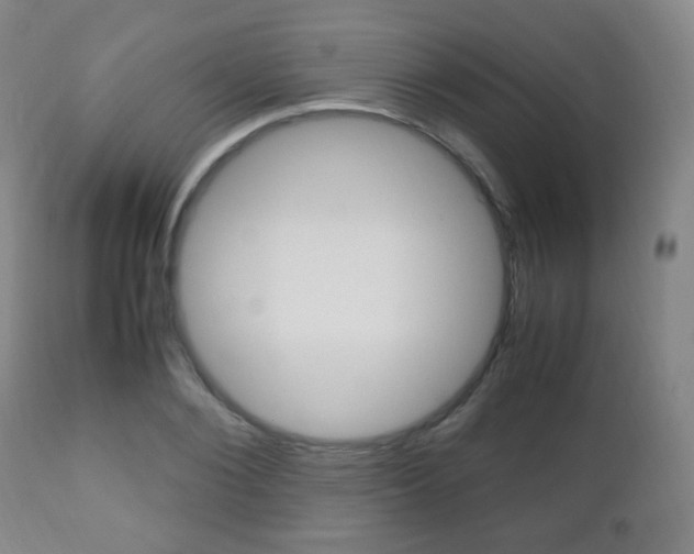 X0000112510884200908171045