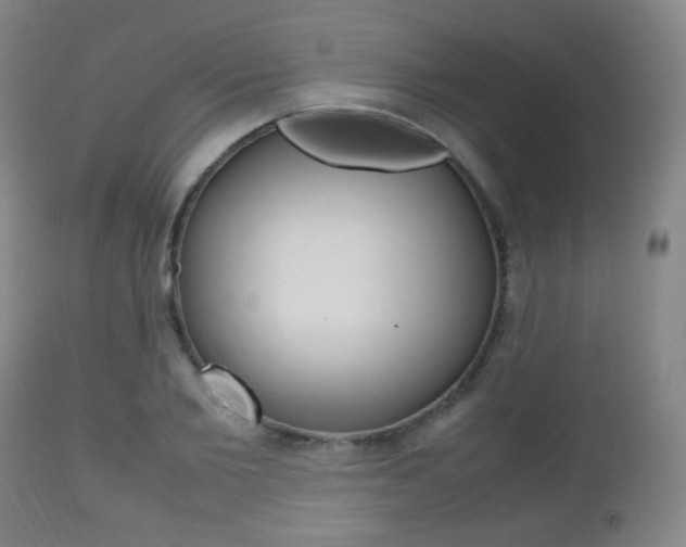 X0000112510885200908171045