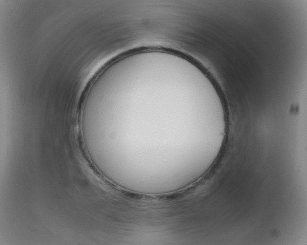 X0000112510887200908171045