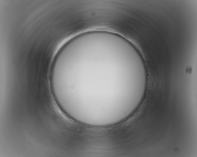 X0000112510888200908171045
