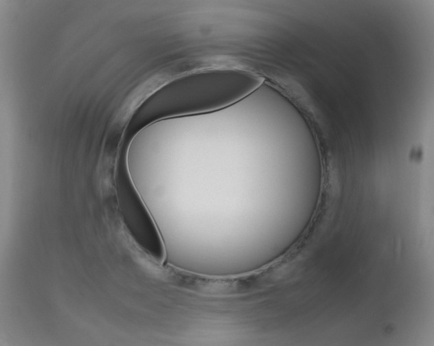 X0000112510889200908171045