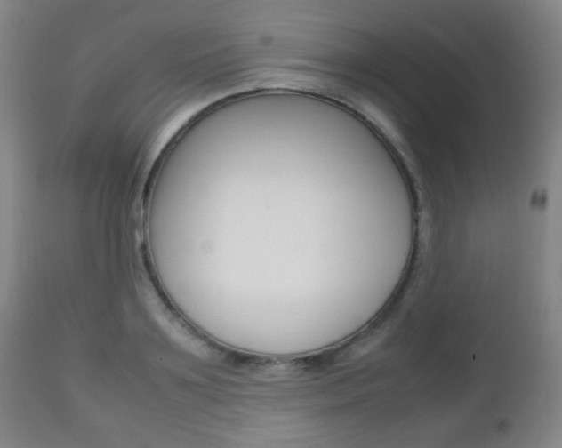X0000112510891200908171045