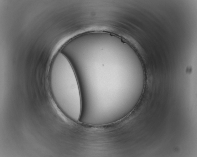 X0000112510894200908171045