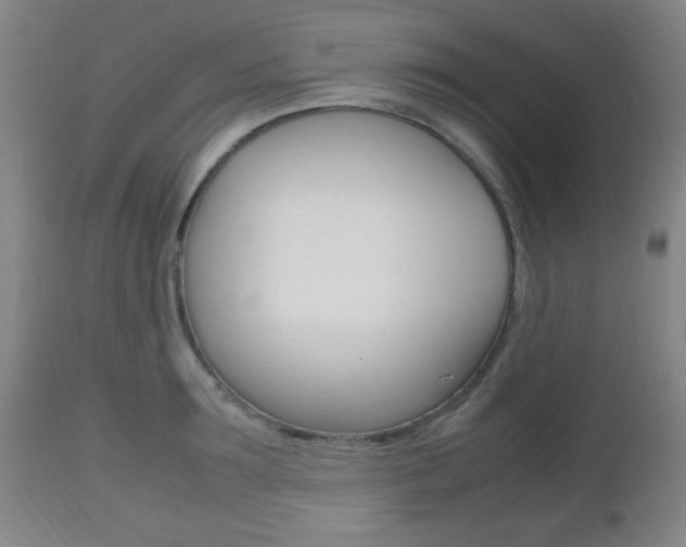 X0000112510899200908171045