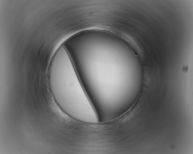 X0000112510900200908171045