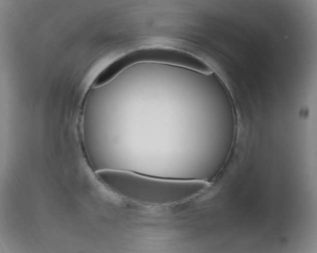 X0000112510901200908171045