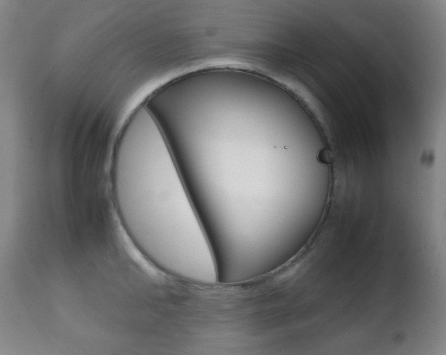 X0000112510902200908171045