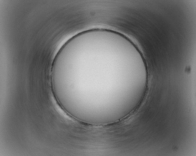 X0000112510903200908171045