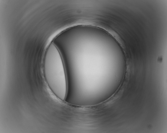 X0000112510904200908171045
