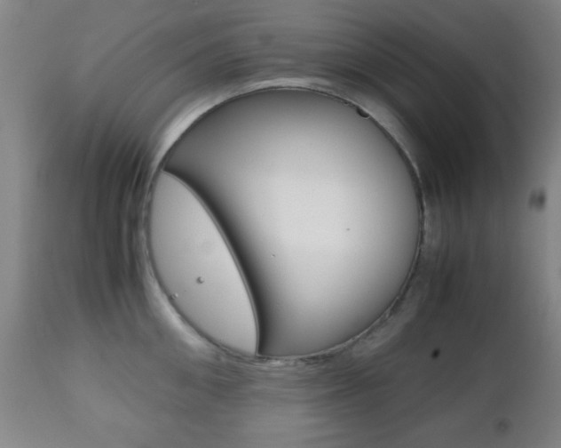 X0000112510906200908171045