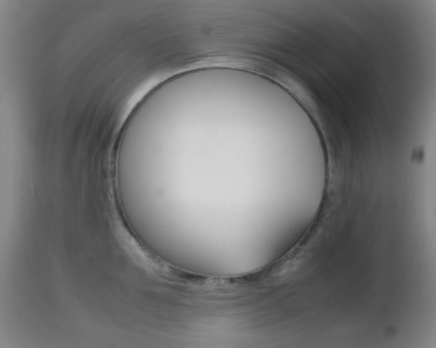 X0000112510907200908171045