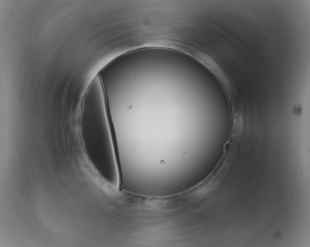 X0000112510908200908171045