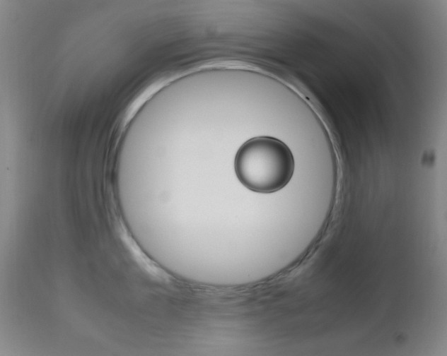 X0000112510909200908171045
