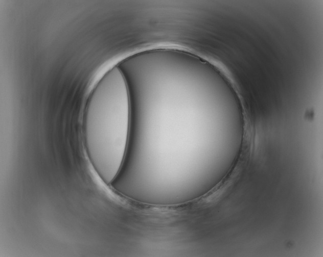 X0000112510910200908171045