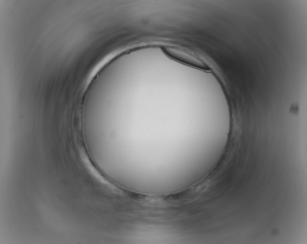X0000112510911200908171045