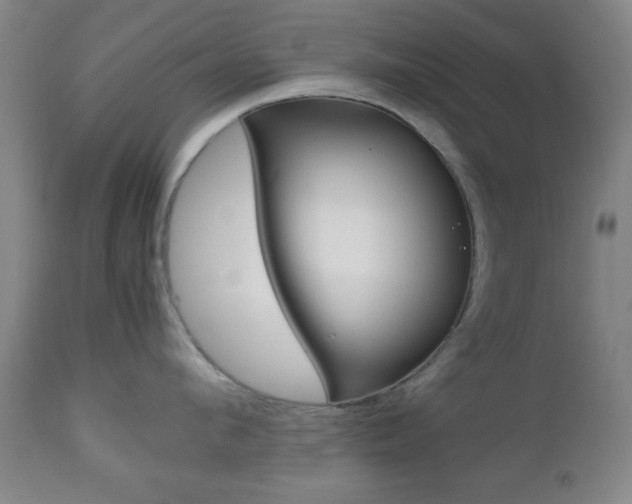 X0000112510912200908171045