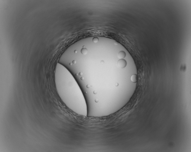 X0000112510913200908171044